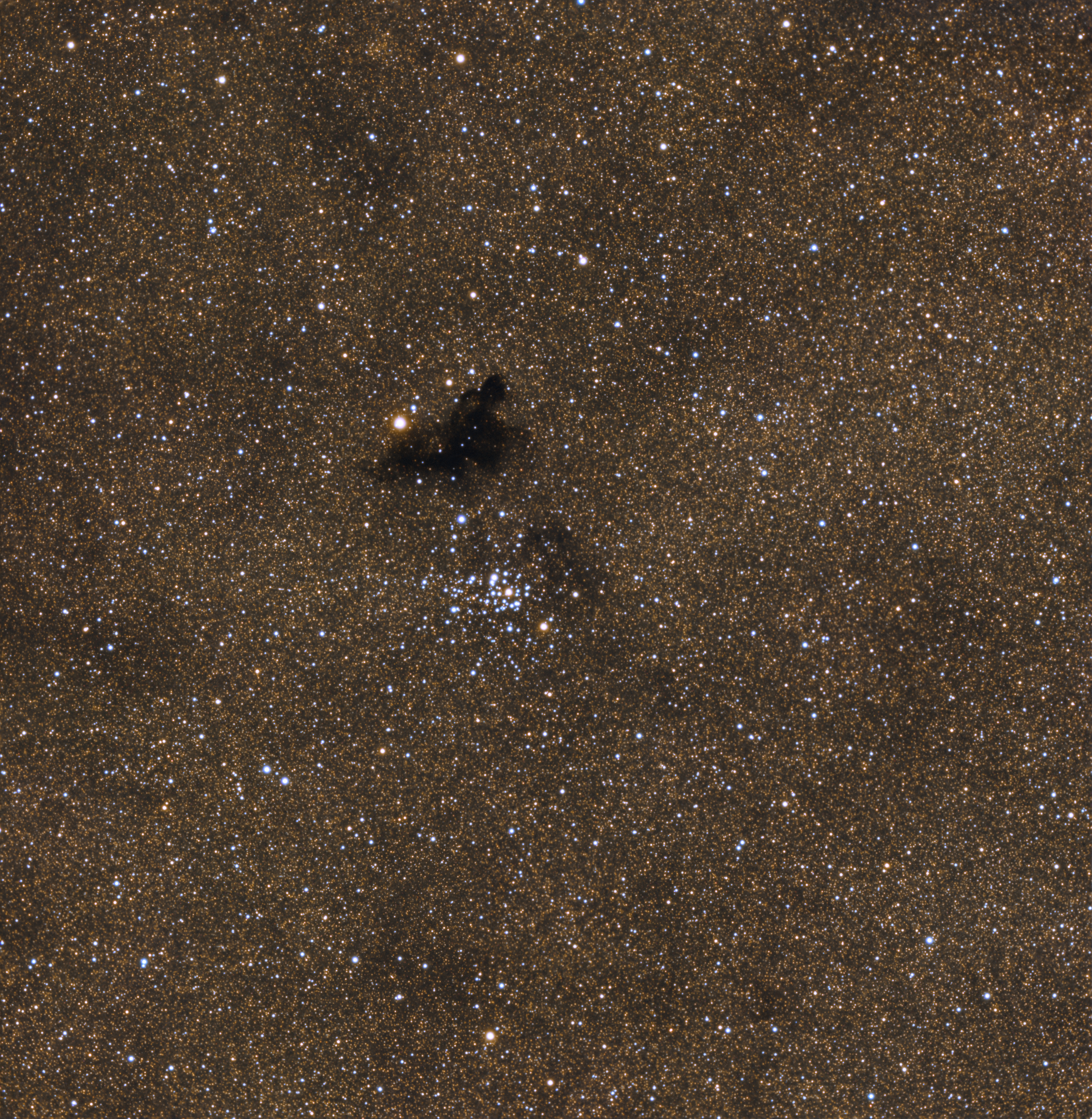 Dark Nebula Observing Program – Required